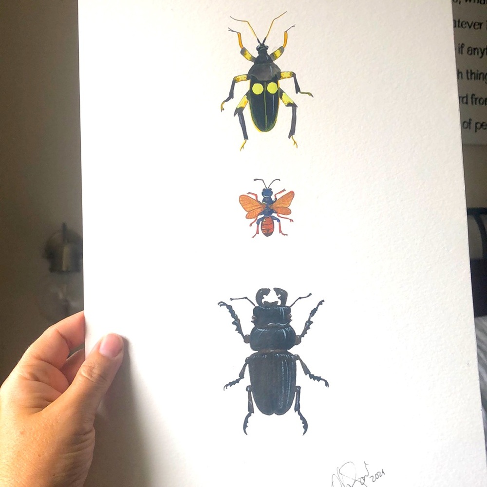 Insect Bug print, Original hand painted!